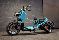 Transformasi Honda Ruckus, Skuter Mungil Berubah Jadi Monster Jalanan yang Gahar