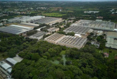 Pabrik TVS Hosur Gabungkan Eco Park dan Manufaktur