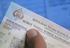 Awas Data Kendaraan Dihapus Permanen! Lakukan Langkah Ini Agar Motor Tak Berstatus Bodong