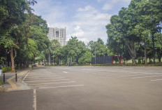 Panduan Lengkap Parkir di GBK Saat Acara Jakarta Running Festival 2025