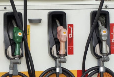 Update Stok Shell Super Menjelang Natal dan Tahun Baru, Sudah Banyak yang Kosong!