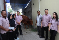 Sambut Idul Adha, Wahana Artha Group Salurkan Hewan Qurban untuk Warga Gunung Sahari