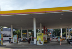 Pemimpin Baru Shell Indonesia, Fokus Transformasi Bisnis dan Pengalihan Operasional SPBU