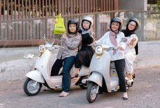 Ofero Hadirkan Warna Baru Magical 3 Pro Sekaligus Rayakan Bloom in Motion