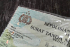 Mutasi Kendaraan Setelah Pindah Domisili, Ini Syarat dan Tahapan Pengurusannya