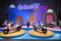 Honda Thailand Resmi Meluncurkan Scoopy Terbaru Tampil Makin Menawan