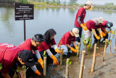 Jaga Ekosistem Pesisir, Suzuki Tanam 1.500 Mangrove di Pangandaran
