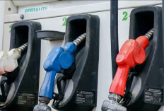 Biar Motor Gak Ngelitik, Pahami Perbedaan Pertamax dan Pertalite Sebelum Berkendara