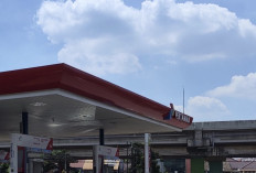 Data Pertamina Selama 2025 Catat Kenaikan Signifikan Penjualan BBM Non Subsidi