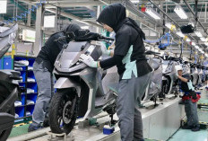 Sertifikasi TKDN Jadi Tantangan Industri Otomotif di Tengah Transisi Kendaraan Listrik