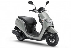 Lincah di Kemacetan, Honda Dunk Jadi Solusi Tepat untuk Perkotaan dengan Dimensi Ringkas