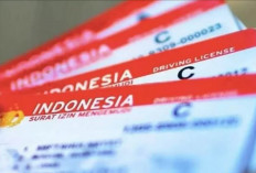 Jangan Keliru, Ini Perbedaan Sanksi Tak Punya SIM dan Lupa Bawa SIM Menurut UU LLAJ