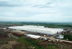 Ekspansi VinFast di Indonesia, Pabrik Subang Siap Produksi Motor Listrik untuk Pasar Lokal