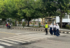 Ada Aturan Resminya, Pengendara Jangan Asal Melintas dan Berhenti di Area Zebra Cross