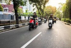 Bangun Hubungan Organik, Ofero Indonesia Sukses Perluas Pasar Lewat Kekuatan Komunitas